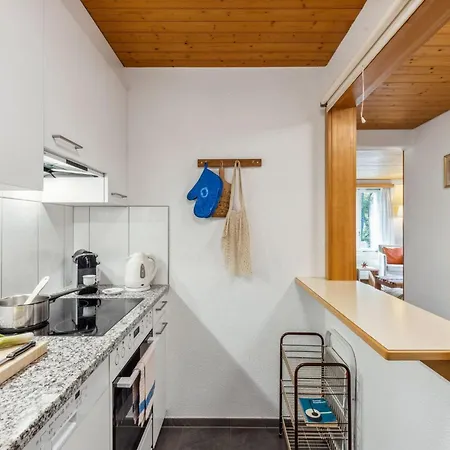 Schweizerhof Apt- S By Interhome Wengen