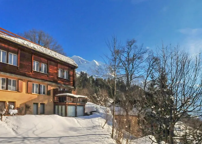 Schweizerhof Apt- S By Interhome Daire