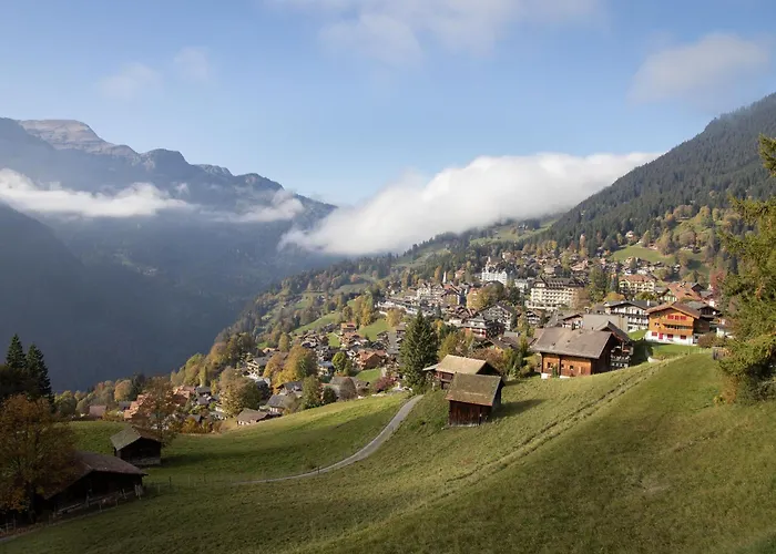 Schweizerhof Apt- S By Interhome Daire *