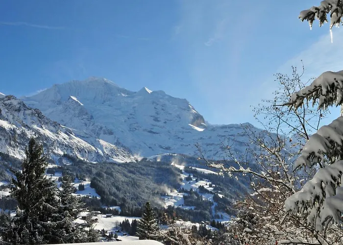 Schweizerhof Apt- S By Interhome Wengen